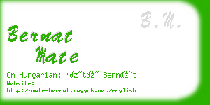 bernat mate business card